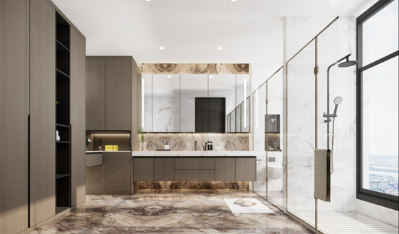 Luxe Dual Space Stainless Steel Bathroom Cabinet With Extensive Storage