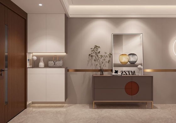 Contemporary Tall Foyer Cabinet Shoe Cupboard For Hallway  Minimalist Elegance
