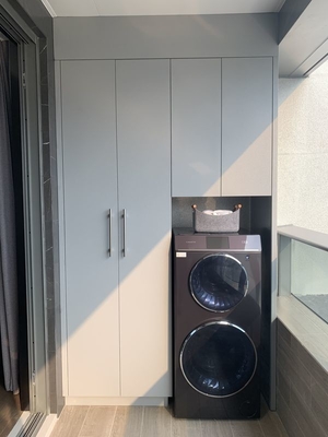 Multifunctional  Alocasia Balcony Laundry Storage Cabinet High Durability