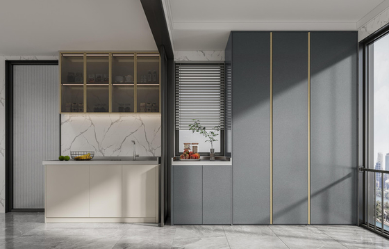 Dual-Color Stainless Steel Balcony Storage Cabinet Customizable Designs