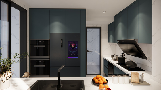 Fadior Modern Stainless Steel Kitchen Cabinets With Integrated High Cabinets And Appliances