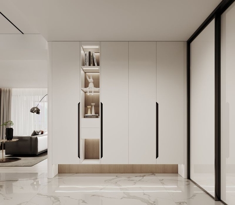 Minimalist Design Stainless Steel Shoe Cabinet With Elegant Storage