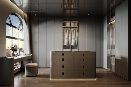 Blue Grey Luxury Stainless Steel Walk-In Closet  With Modern Design And Superior Durability