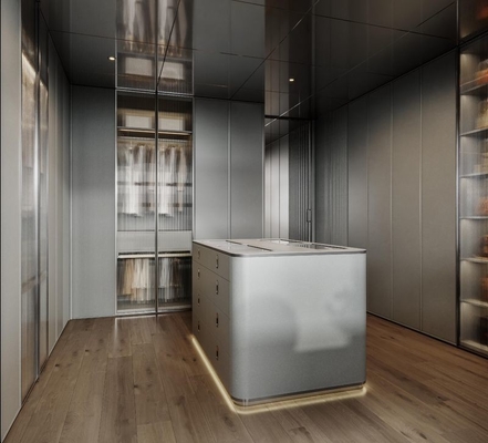 Blue Grey Luxury Stainless Steel Walk-In Closet  With Modern Design And Superior Durability