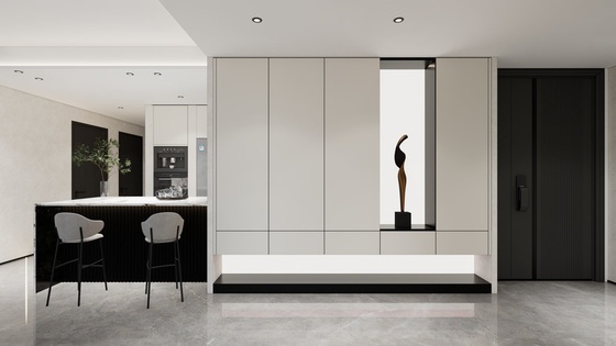 Fadior Modern Minimalist White Stainless Steel Shoe Cabinet With Built-In Illuminated Back Panel Design
