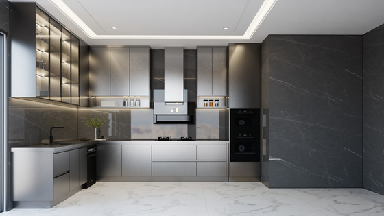 Fadior Matte Black Stainless Steel Kitchen Cabinet With Under-Cabinet Ambient Lighting