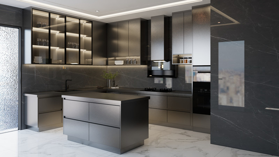 Fadior Matte Black Stainless Steel Kitchen Cabinet With Under-Cabinet Ambient Lighting