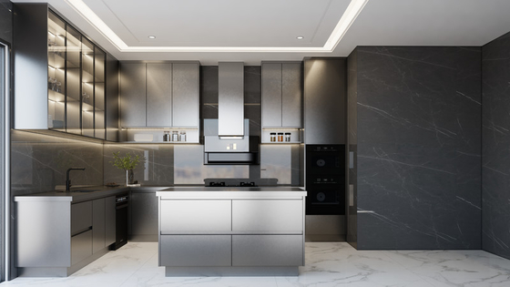 Fadior Matte Black Stainless Steel Kitchen Cabinet With Under-Cabinet Ambient Lighting